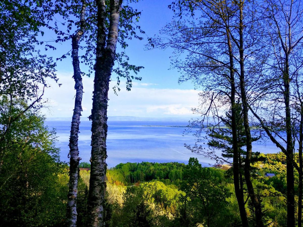 Auberge De La Rive De Charlevoix - Auberge De Jeunesse Familiale Pour Voyageurs De Tous Ages Saint-Joseph-de-la-Rive Eksteriør billede